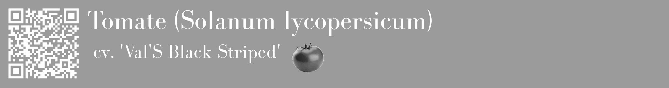 Étiquette de : Solanum lycopersicum cv. 'Val'S Black Striped' - format c - style blanche52_basique_basiquebod avec qrcode et comestibilité simplifiée
