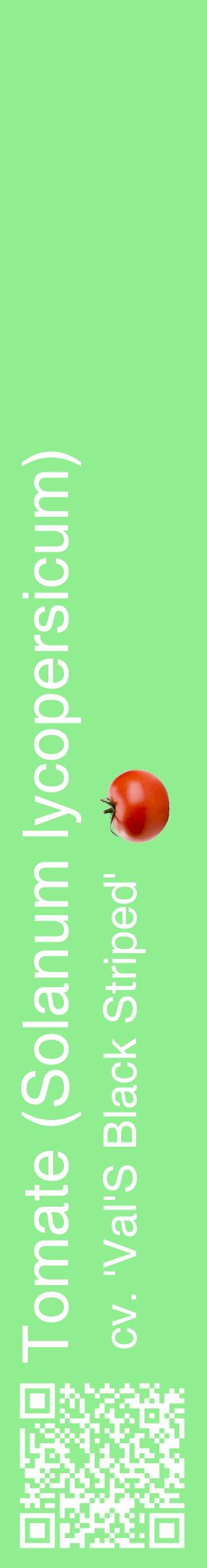 Étiquette de : Solanum lycopersicum cv. 'Val'S Black Striped' - format c - style blanche15_basiquehel avec qrcode et comestibilité simplifiée