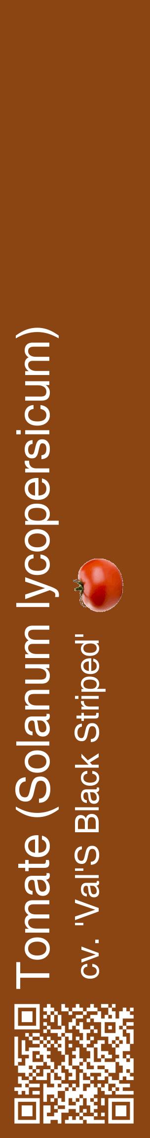 Étiquette de : Solanum lycopersicum cv. 'Val'S Black Striped' - format c - style blanche30_basiquehel avec qrcode et comestibilité simplifiée