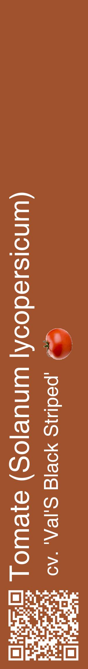 Étiquette de : Solanum lycopersicum cv. 'Val'S Black Striped' - format c - style blanche32_basiquehel avec qrcode et comestibilité simplifiée