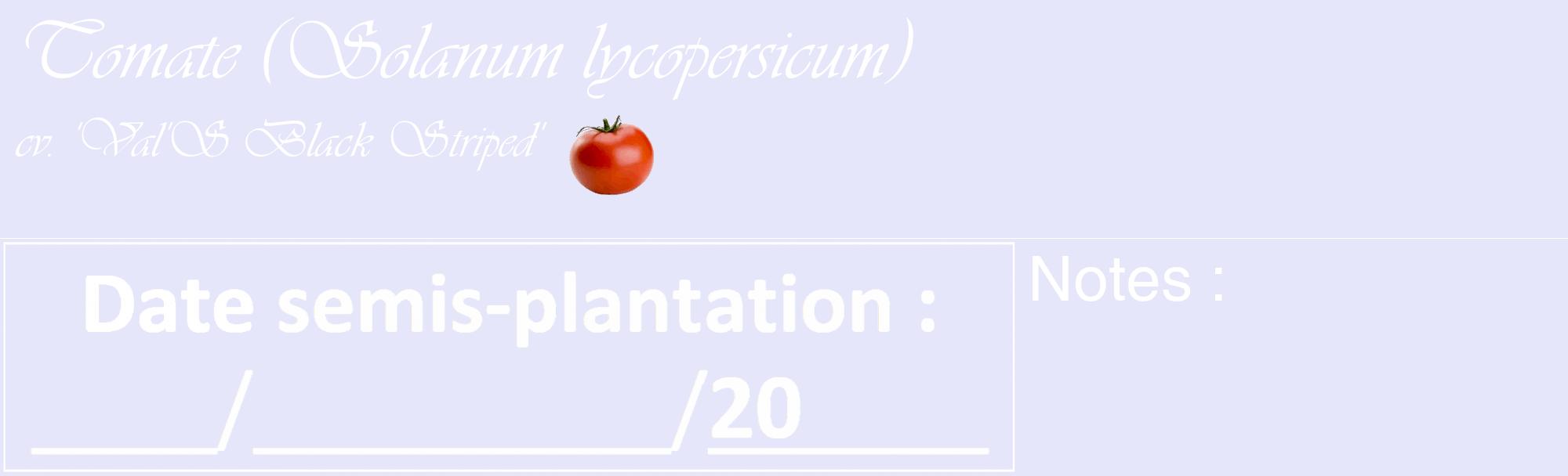 Étiquette de : Solanum lycopersicum cv. 'Val'S Black Striped' - format c - style blanche55_basique_basiqueviv avec comestibilité simplifiée