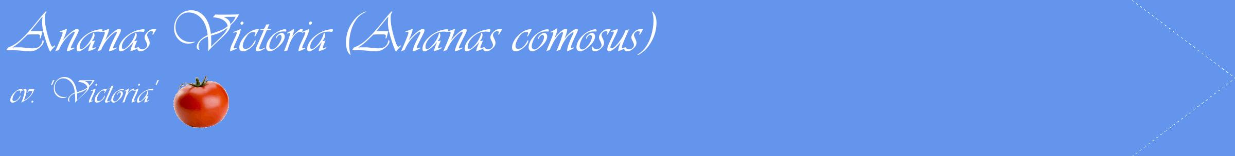 Étiquette de : Ananas comosus cv. 'Victoria' - format c - style blanche4simple_simple_simpleviv avec comestibilité simplifiée