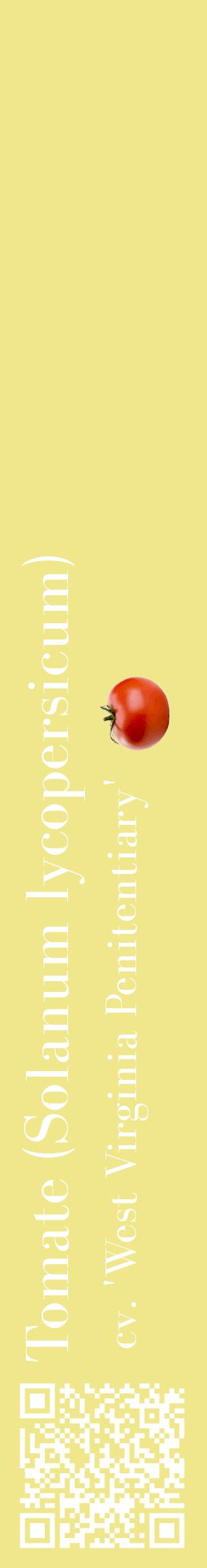 Étiquette de : Solanum lycopersicum cv. 'West Virginia Penitentiary' - format c - style blanche20_basiquebod avec qrcode et comestibilité simplifiée