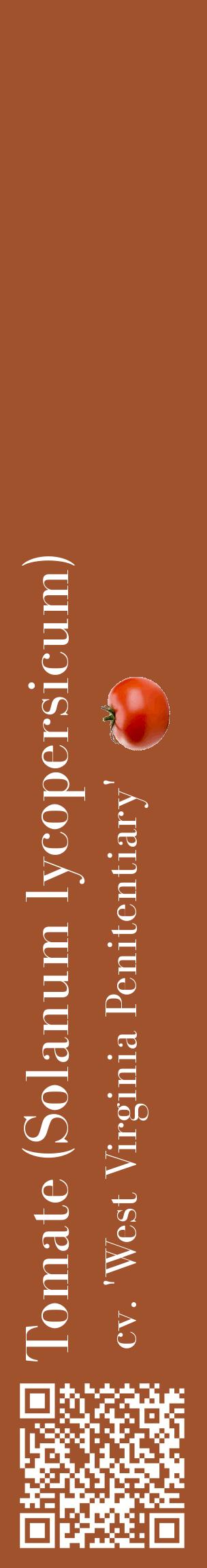 Étiquette de : Solanum lycopersicum cv. 'West Virginia Penitentiary' - format c - style blanche32_basiquebod avec qrcode et comestibilité simplifiée