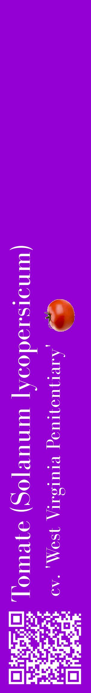 Étiquette de : Solanum lycopersicum cv. 'West Virginia Penitentiary' - format c - style blanche48_basiquebod avec qrcode et comestibilité simplifiée