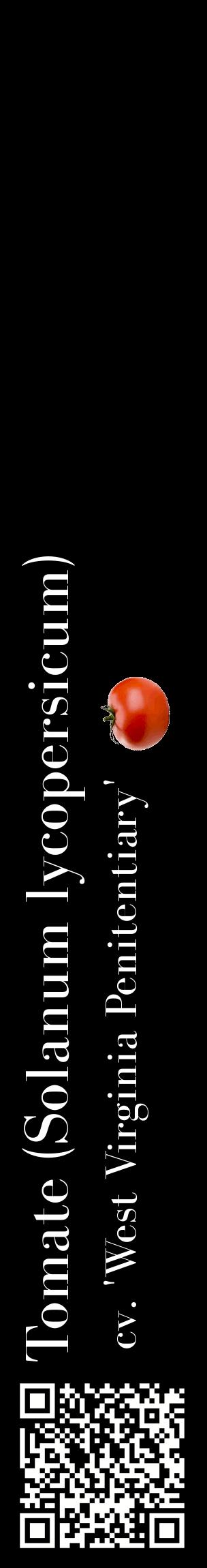 Étiquette de : Solanum lycopersicum cv. 'West Virginia Penitentiary' - format c - style blanche59_basiquebod avec qrcode et comestibilité simplifiée