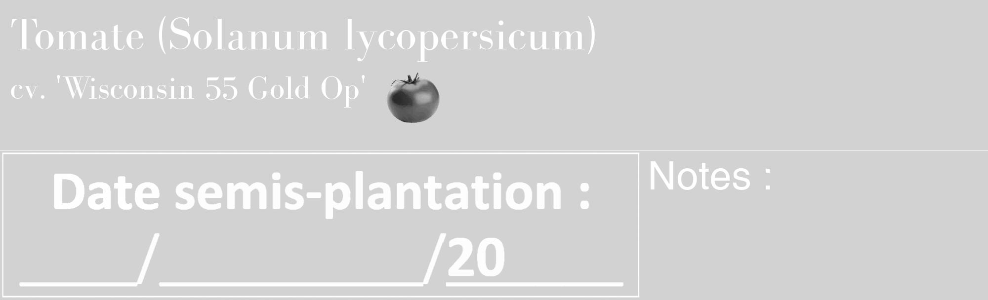 Étiquette de : Solanum lycopersicum cv. 'Wisconsin 55 Gold Op' - format c - style blanche14_basique_basiquebod avec comestibilité simplifiée