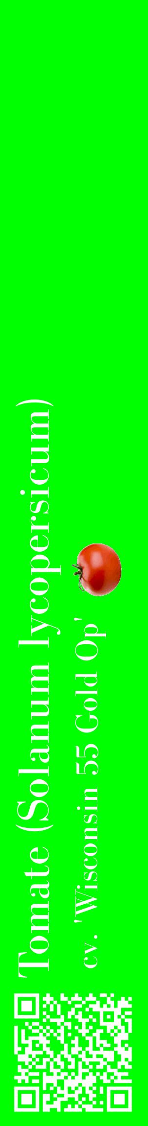 Étiquette de : Solanum lycopersicum cv. 'Wisconsin 55 Gold Op' - format c - style blanche16_basiquebod avec qrcode et comestibilité simplifiée