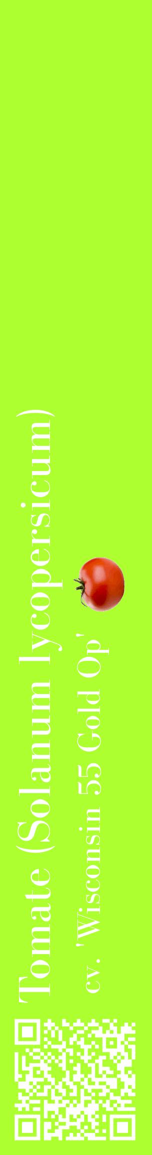 Étiquette de : Solanum lycopersicum cv. 'Wisconsin 55 Gold Op' - format c - style blanche17_basiquebod avec qrcode et comestibilité simplifiée