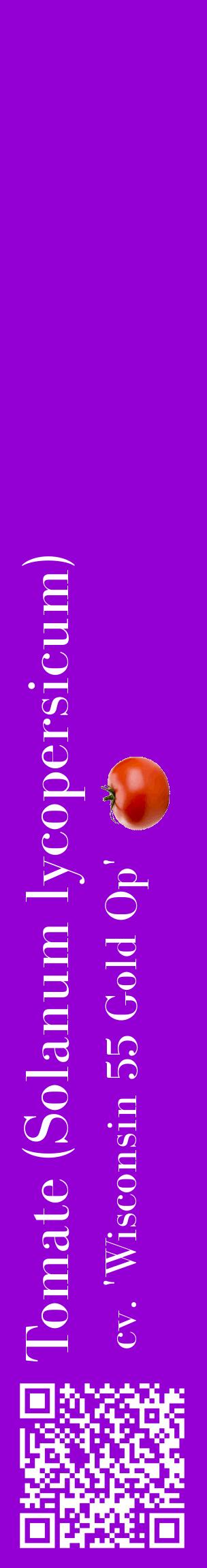Étiquette de : Solanum lycopersicum cv. 'Wisconsin 55 Gold Op' - format c - style blanche48_basiquebod avec qrcode et comestibilité simplifiée