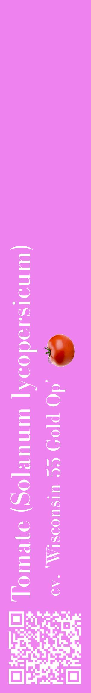 Étiquette de : Solanum lycopersicum cv. 'Wisconsin 55 Gold Op' - format c - style blanche53_basiquebod avec qrcode et comestibilité simplifiée