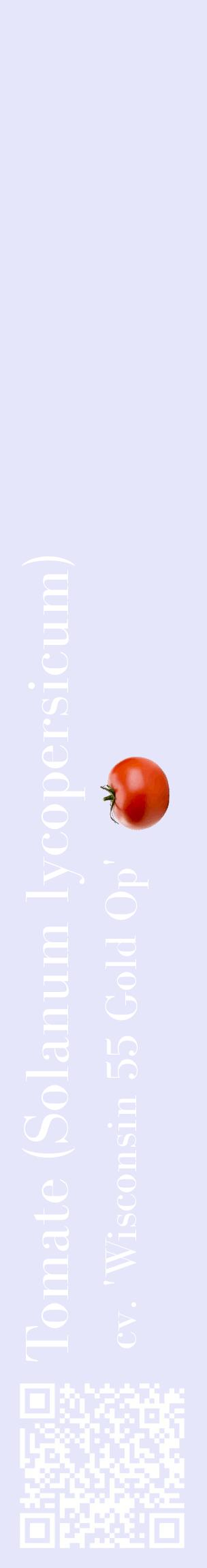 Étiquette de : Solanum lycopersicum cv. 'Wisconsin 55 Gold Op' - format c - style blanche55_basiquebod avec qrcode et comestibilité simplifiée