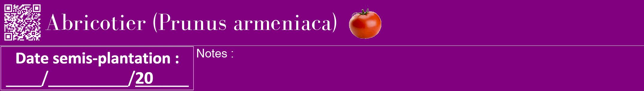 Étiquette de : Prunus armeniaca - format a - style blanche46bod avec qrcode et comestibilité simplifiée