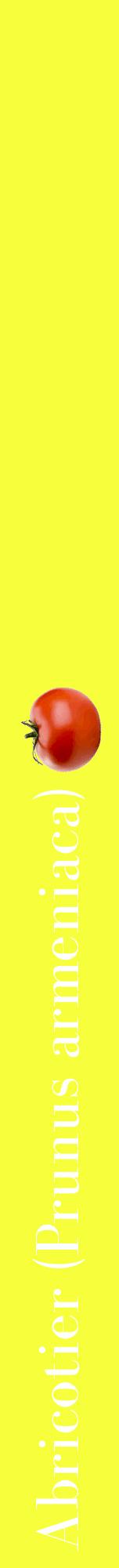 Étiquette de : Prunus armeniaca - format a - style blanche18bod avec comestibilité simplifiée