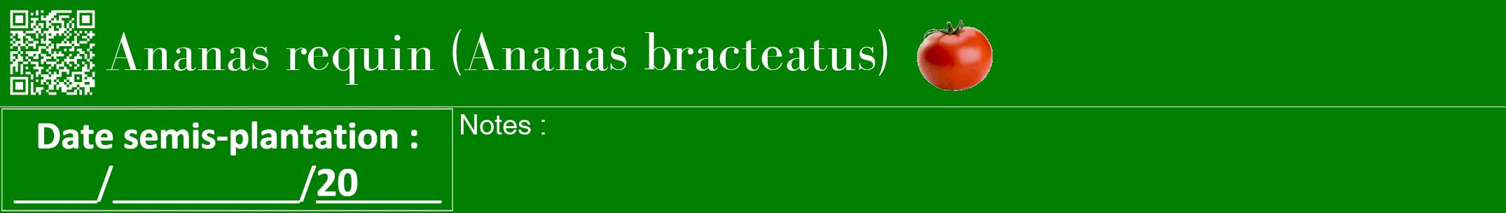 Étiquette de : Ananas bracteatus - format a - style blanche9bod avec qrcode et comestibilité simplifiée