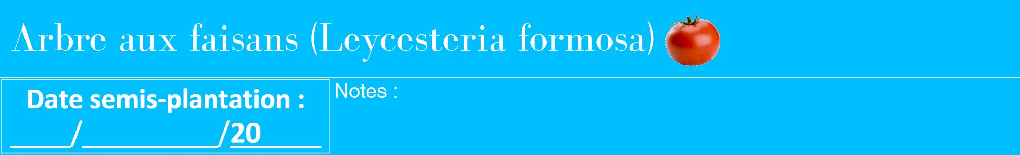 Étiquette de : Leycesteria formosa - format a - style blanche2bod avec comestibilité simplifiée