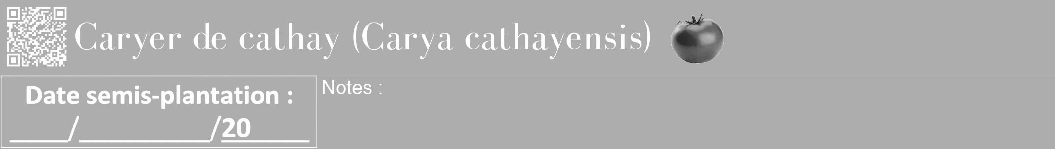 Étiquette de : Carya cathayensis - format a - style blanche22bod avec qrcode et comestibilité simplifiée