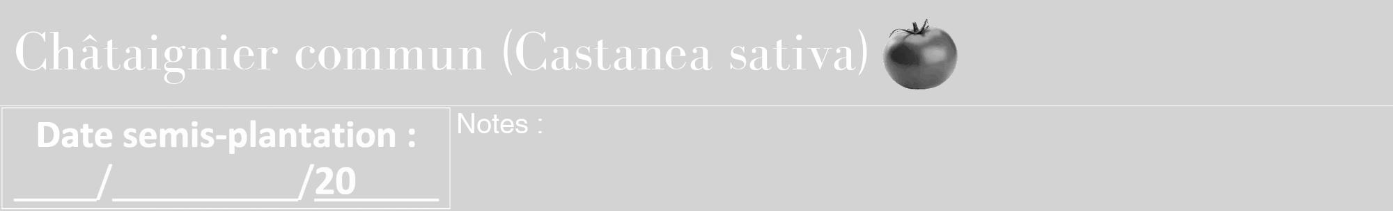 Étiquette de : Castanea sativa - format a - style blanche56basiquebod avec comestibilité simplifiée