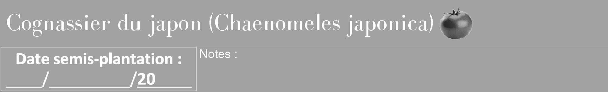 Étiquette de : Chaenomeles japonica - format a - style blanche38bod avec comestibilité simplifiée