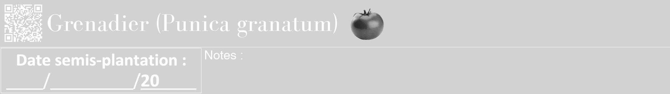 Étiquette de : Punica granatum - format a - style blanche14bod avec qrcode et comestibilité simplifiée