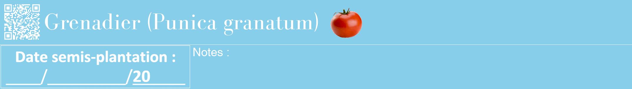 Étiquette de : Punica granatum - format a - style blanche1bod avec qrcode et comestibilité simplifiée