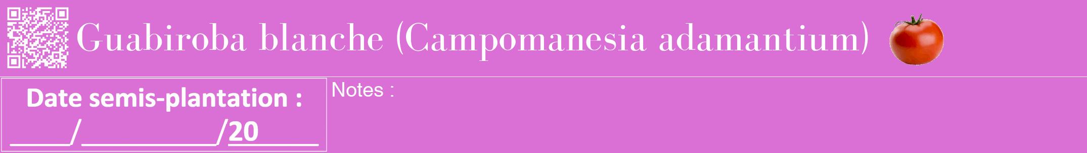 Étiquette de : Campomanesia adamantium - format a - style blanche52bod avec qrcode et comestibilité simplifiée