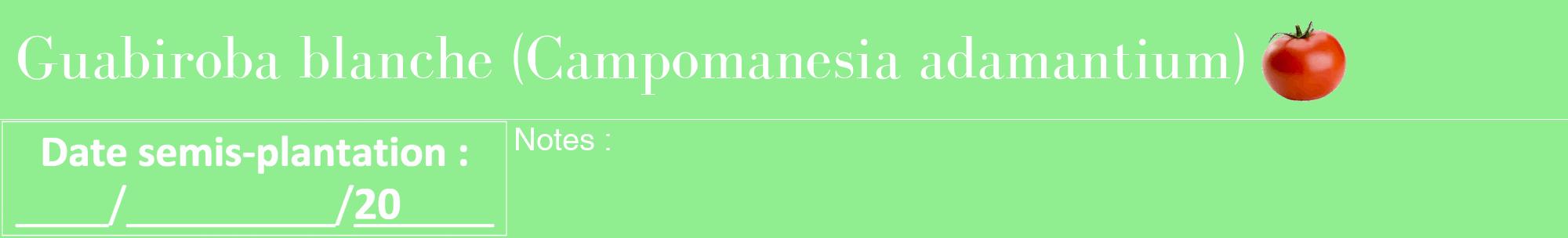Étiquette de : Campomanesia adamantium - format a - style blanche15bod avec comestibilité simplifiée
