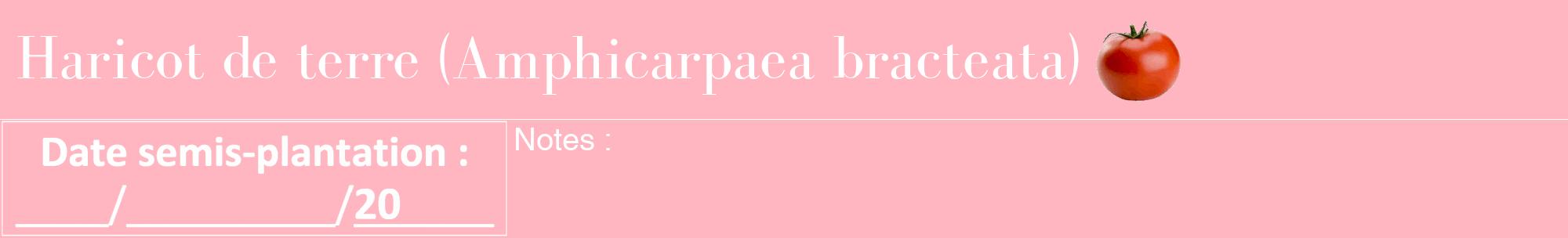Étiquette de : Amphicarpaea bracteata - format a - style blanche41bod avec comestibilité simplifiée