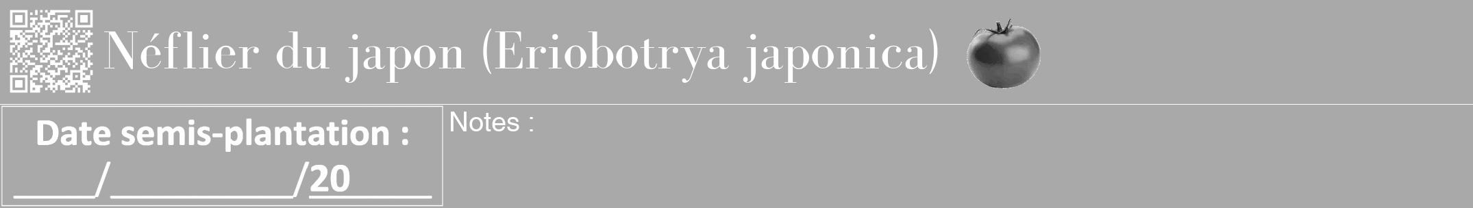 Étiquette de : Eriobotrya japonica - format a - style blanche13bod avec qrcode et comestibilité simplifiée