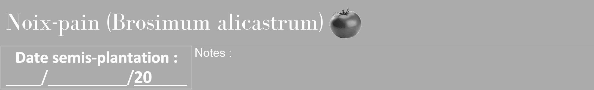 Étiquette de : Brosimum alicastrum - format a - style blanche37bod avec comestibilité simplifiée