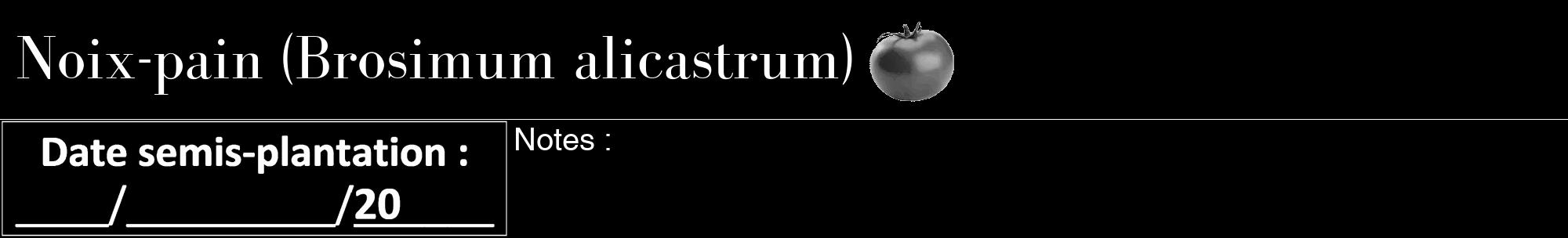 Étiquette de : Brosimum alicastrum - format a - style blanche59bod avec comestibilité simplifiée