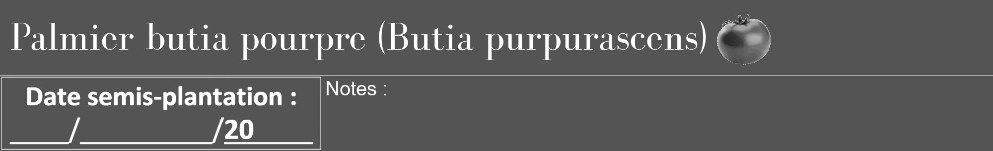 Étiquette de : Butia purpurascens - format a - style blanche36basiquebod avec comestibilité simplifiée
