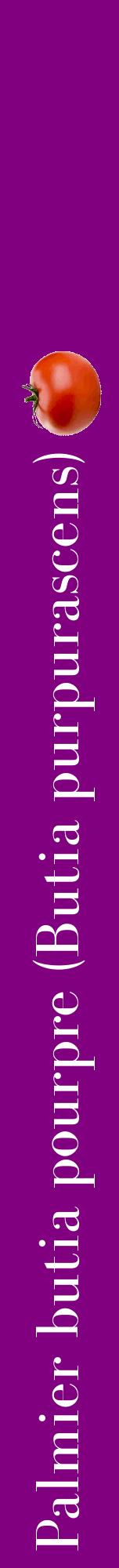 Étiquette de : Butia purpurascens - format a - style blanche46bod avec comestibilité simplifiée