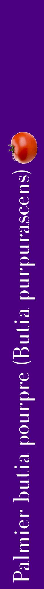 Étiquette de : Butia purpurascens - format a - style blanche47bod avec comestibilité simplifiée