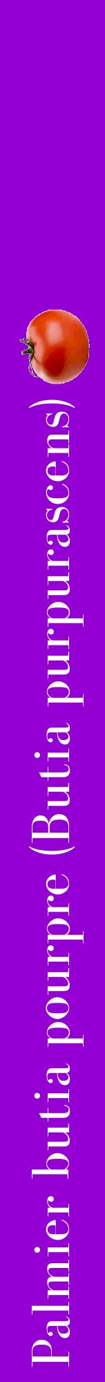 Étiquette de : Butia purpurascens - format a - style blanche48bod avec comestibilité simplifiée