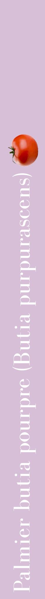 Étiquette de : Butia purpurascens - format a - style blanche54bod avec comestibilité simplifiée