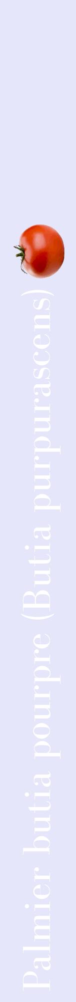 Étiquette de : Butia purpurascens - format a - style blanche55bod avec comestibilité simplifiée