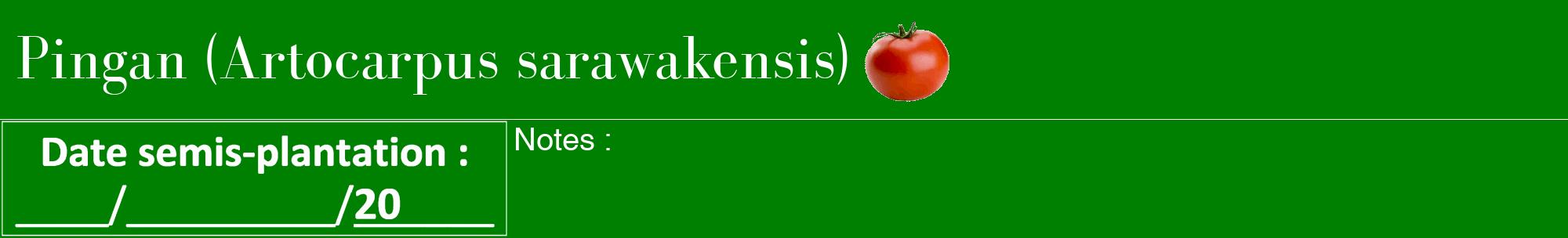 Étiquette de : Artocarpus sarawakensis - format a - style blanche9bod avec comestibilité simplifiée