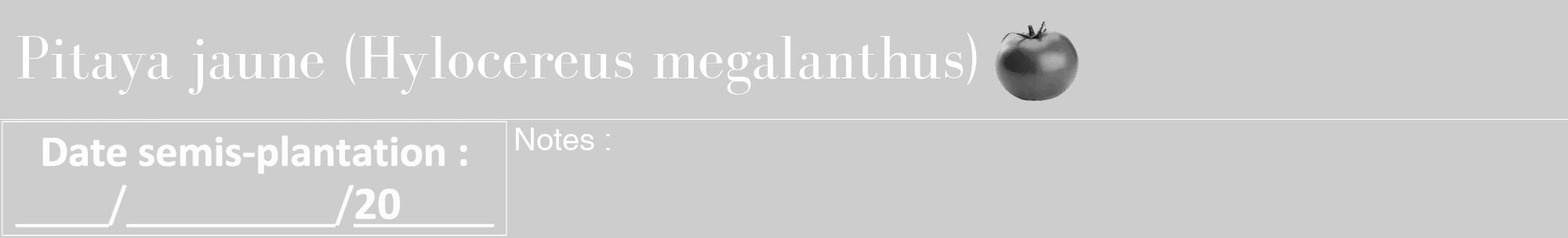 Étiquette de : Hylocereus megalanthus - format a - style blanche41bod avec comestibilité simplifiée