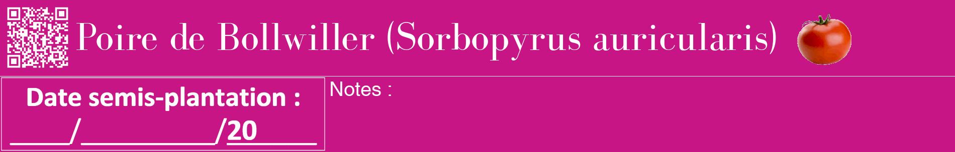 Étiquette de : Sorbopyrus auricularis - format a - style blanche45basiquebod avec qrcode et comestibilité simplifiée