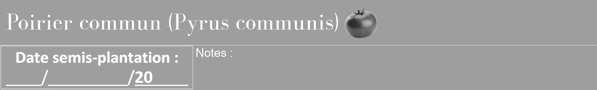 Étiquette de : Pyrus communis - format a - style blanche23basiquebod avec comestibilité simplifiée