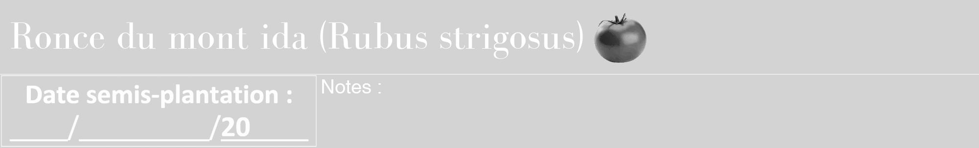 Étiquette de : Rubus strigosus - format a - style blanche56bod avec comestibilité simplifiée