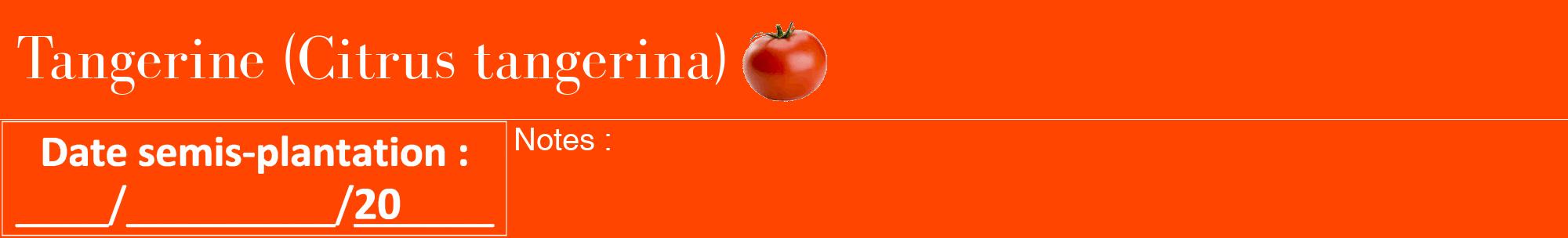 Étiquette de : Citrus tangerina - format a - style blanche26basiquebod avec comestibilité simplifiée
