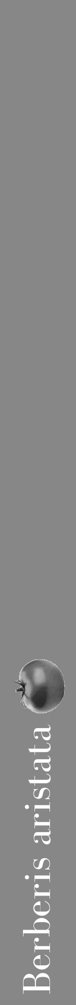 Étiquette de : Berberis aristata - format a - style blanche12bod avec comestibilité simplifiée - position verticale