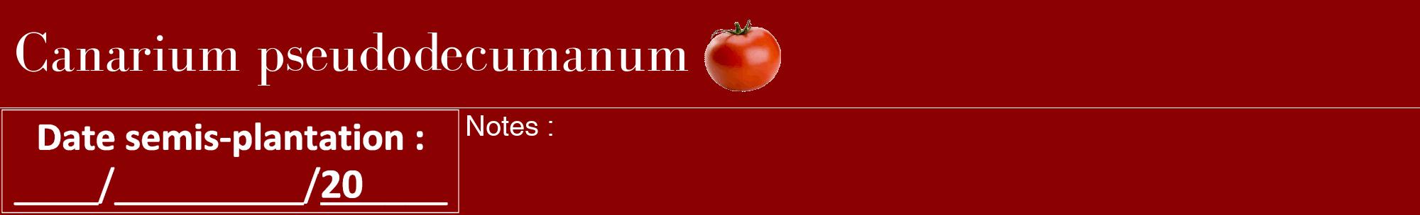 Étiquette de : Canarium pseudodecumanum - format a - style blanche34bod avec comestibilité simplifiée