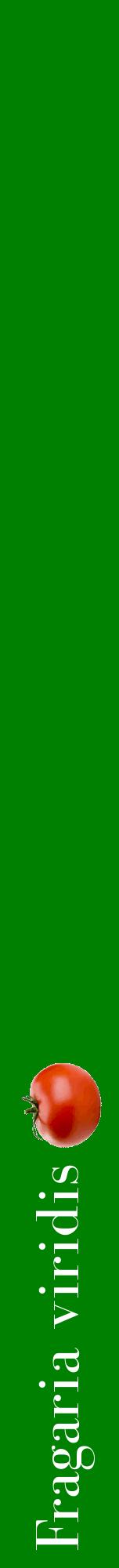 Étiquette de : Fragaria viridis - format a - style blanche9bod avec comestibilité simplifiée