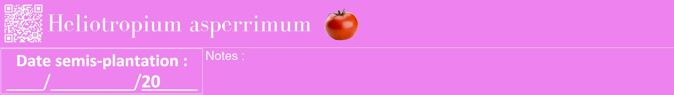 Étiquette de : Heliotropium asperrimum - format a - style blanche53bod avec qrcode et comestibilité simplifiée