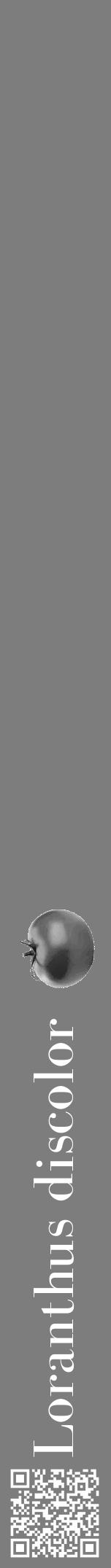 Étiquette de : Loranthus discolor - format a - style blanche35bod avec qrcode et comestibilité simplifiée - position verticale