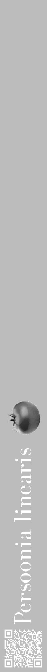 Étiquette de : Persoonia linearis - format a - style blanche1bod avec qrcode et comestibilité simplifiée - position verticale