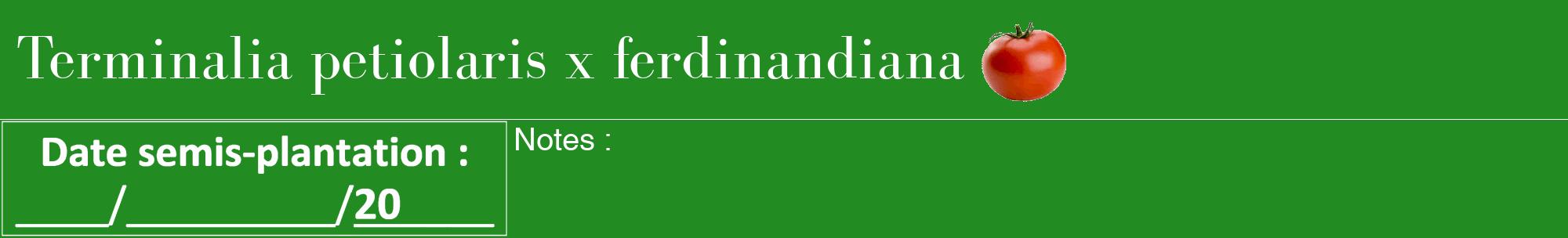 Étiquette de : Terminalia petiolaris x ferdinandiana - format a - style blanche10bod avec comestibilité simplifiée